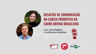 Desafios de comunicação na cadeia produtiva da carne bovina Brasileira [upl. by Ecirtahs346]