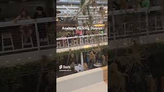 Anaheim packing District AnaheimCA food kpop foodcourt [upl. by Ijok817]