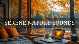 Peaceful Afternoon Moments ☀️ Relax amp Refresh with Serene Nature Sounds for Focus amp Calming [upl. by Cobb82]