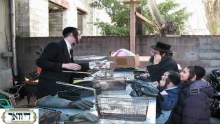 Erev Pesach in Boro Park Part 1 [upl. by Gradey]