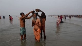 Les pélerins hindous prennent un bain sacré pour Makar Sankranti [upl. by Adnawahs962]