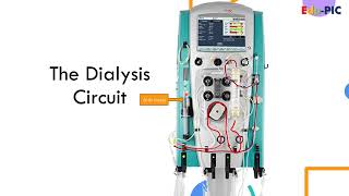 Renal Replacement Therapy in PICU CRRT CVVH CVVHD amp CVVHDF [upl. by Allene]