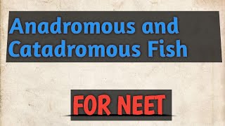 Anadromous and catadromous Fish Migratory Fishes NEET ZoologyCSIRNETLifeScience [upl. by Suk]