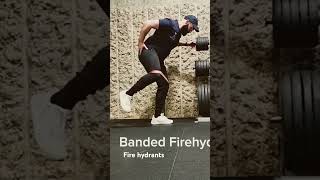 Banded fire hydrants hipstability mobility injuryprevention glutesworkout [upl. by Akir]