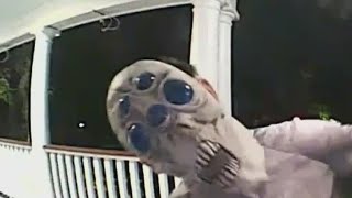 Ashleigh Banfield Video of alien life on my porch  Banfield [upl. by Yoshiko]