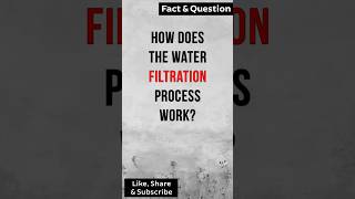 How does the water filtration process work factshorts waterfiltration [upl. by Etnoel229]