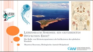 Lebensraum Nordsee ein gefährdetes Stückchen Erde [upl. by Filipe]