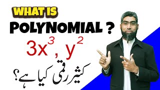 Mastering Polynomials Understanding the BasicsPolynomialsurdu and hindi [upl. by Christiansen]