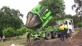 Tree Transplanting with ArborCo Melbournem4v [upl. by Adnohser]