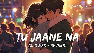 TU JAANE NA Slowed  Reverb Atif Aslam  LAXMILOFI91 [upl. by Eiramnaej]