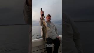 ￼throwback to 2023 williamsnarrowsresort fishing minnesota walleye walleyefishing ￼ [upl. by Naujuj]