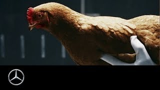 MercedesBenz “Chicken” MAGIC BODY CONTROL TV commercial [upl. by Ahsikad]