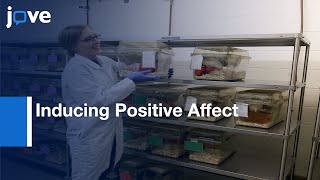 Tickling Technique For Inducing Positive Affect When Handling Rats l Protocol Preview [upl. by Weider]