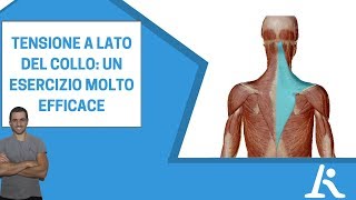 Tensione a lato del collo un esercizio molto efficace [upl. by Ennairoc]