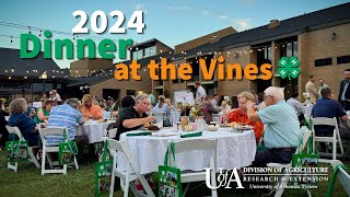 Dinner at the Vines 2024 [upl. by Anhsirk987]