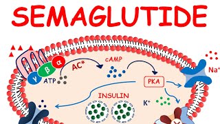 Semaglutide injection  Ozempic for weight loss  Precautions amp side effects [upl. by Emmeline]