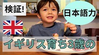 検証！どれだけ喋れる？イギリス育ち3歳の孫と日本の祖母の会話  HOW WELL A 3 YEARS BILINGUAL TODDLER COMMUNICATE WITH HIS GRANDMA [upl. by Arnulfo]