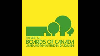 The Best Of Boards Of Canada [upl. by Needan]