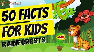 50 Facts about Rainforests  Science Facts  Trivia Time  Kids [upl. by Ardisi]