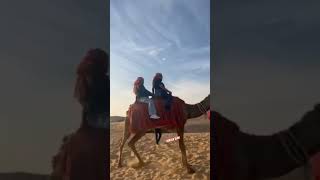 Right CAMELLA action 🐫 dubaisafari viralvideo doglover viralshorts shortvideo shorts video [upl. by Nivahb]