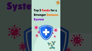 Top 5 Foods for a Stronger Immune System immunity immunitybooster health healthtime6469 Drberg [upl. by Olegna]