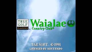 True Golf Classics Waialae Country Club SNES  BGM 02 Title Screen [upl. by Winwaloe]