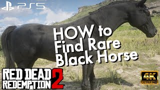 How to Easily find a RARE Race HORSE in Red Dead Redemption 2 PS5 4K UHD [upl. by Margy]