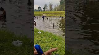 Dolphin കുഞ്ഞിനെ കണ്ടോ 😄😄 water fish river kakkayam kariyathumpara water swimming dolphin [upl. by Naamana]