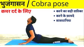 Bhujangasana yoga  for beginners  cobra pose yoga  step by step  benefits  precautions  hindi [upl. by Skyler]