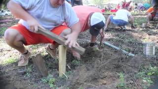 Worm fiddlin competition in Caryville Florida [upl. by Aseena]