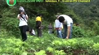 Community Organic FarmingAgroforestry Project Part 1 [upl. by Camroc]