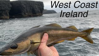 Sea fishing  West coast of Ireland  How to Dig Rag and Lugworm for bait on the beach [upl. by Lehcsreh]