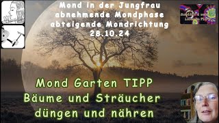 Mond Garten TIPP  Bäume und Sträucher jetzt düngen und nähren [upl. by Laszlo942]