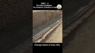 The Indus Civilization I The Drainage System Indus Cities I Shorts 5 [upl. by Elleyoj]