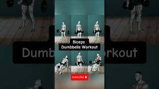 Biceps Dumbbells Workout workout bicepsworkout biceps exercise bodybuilding gym dumbbell [upl. by Katrina]