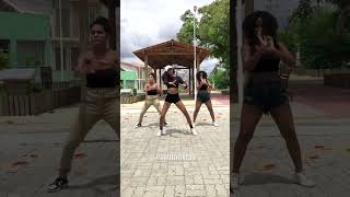 Toma toma  Bailão do Robyssão 💃🔥 [upl. by Schultz]