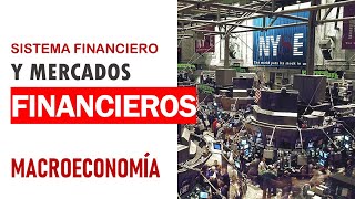 Sistema financiero concepto y participantes de mercados financieros [upl. by Nonarb931]