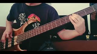 Madonna  Material Girl bass cover [upl. by Yznil]