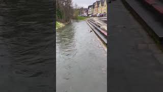 The Lieser River flowing through Wittlich Germany [upl. by Voorhis]