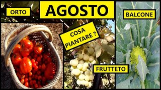 Cosa piantare nel mese di AGOSTO nellOrto e nel Frutteto  Tutorial Agricoltura [upl. by Grange]