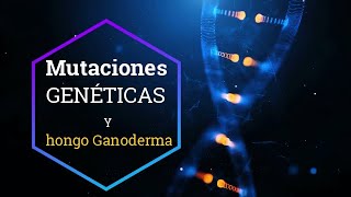 Combate MUTACIONES GENÉTICAS con Ganoderma Lucidum [upl. by Alyahs]