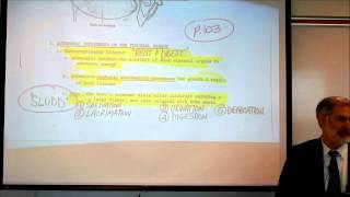 AUTONOMIC NERVOUS SYSTEM PART 3 by Professor Finkwmv [upl. by Aielam]