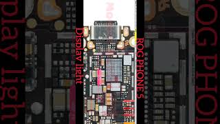 ROG PHONE 5 DISPLAY LIGHT SOLUTION rogshortasusdisplay [upl. by Allekram]