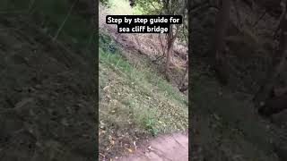 Step by step guide to sea cliff bridge vlog travel seabridge seacliff australia [upl. by Sivahc]