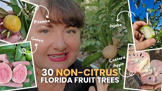 Top 30 NonCitrus Fruit Trees for Florida  Essential Picks Rare Tropicals amp Fun Novelties [upl. by Peace377]