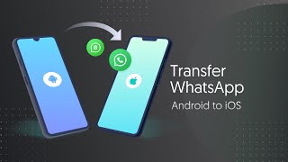 iCareFone WTSapp AndroidiOS App Quick Guide  Transfer WhatsApp from Android to iOS without PC [upl. by Car259]