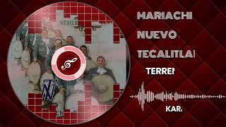 KARAOKE TERRENAL MARIACHI [upl. by Elwaine]