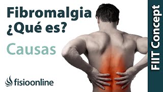 Fibromialgia Una opinion sobre sus causas tratamiento y solución [upl. by Glialentn228]