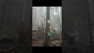 Grouse Grind North Vancouver BC Hiking Sep2024 [upl. by Edmonds]