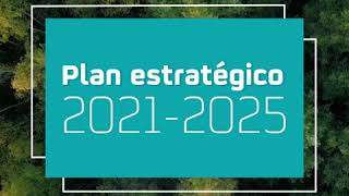 Plan Estratégico 20212025 [upl. by Villada]